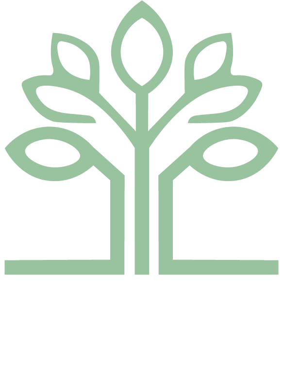 cropped ceibag logo con nombre.png